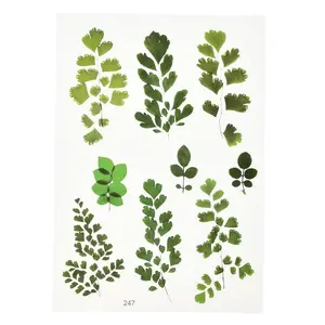 Waterproof Plastic Self Adhesive Stickers