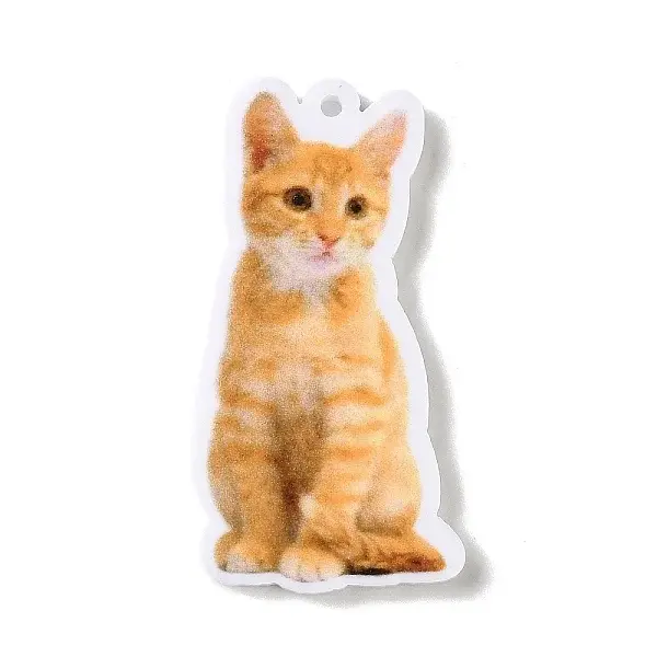 Opaque Printed Acrylic Pendants