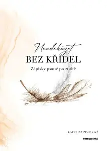 Neodcházet bez křídel