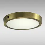 LED podhledové svítidlo RING 24W 4200K KULATÝ SATÉN