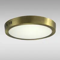LED podhledové svítidlo RING 24W 4200K KULATÝ SATÉN