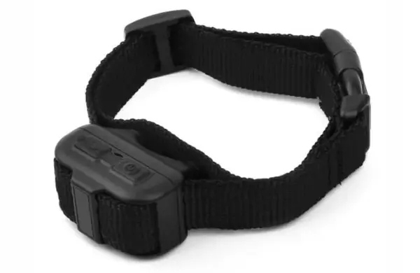 Patpet DB60 | Protištěkací obojek