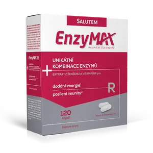 Enzymax R 120 kapslí