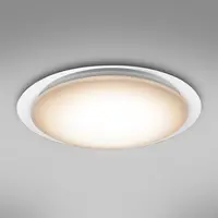 Stropná lampa 41310-60 LED 55cm