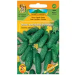 Uhorka nakladačka hruboostná Regina F1 - hybrid