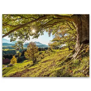 Obraz Glasspik 80x120 St545 Green Tree