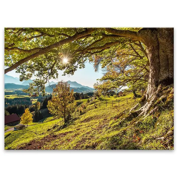 Obraz Glasspik 80x120 St545 Green Tree