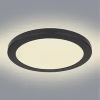 Stropní svítidlo 12379-24B LED 24W D30 PL1