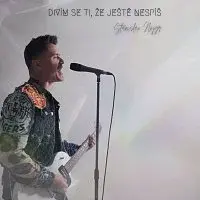 Stanislav Hojgr – Divím se ti, že ještě nespíš