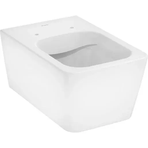 Hansgrohe EluPura Q wc závesné so zadným odpadom 61116450