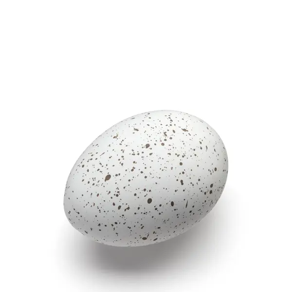Dekorace vajíčko, barva bílá - COOEE