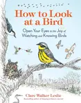 How to Look at a Bird - Clare Walker Leslie