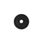 Litinový kotouč Top Sport Castyr 1,25 kg 30 mm