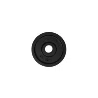 Litinový kotouč Top Sport Castyr 1,25 kg 30 mm