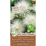 GardenSeed Premium Semienka Astra ihlicovitá vysoká biela