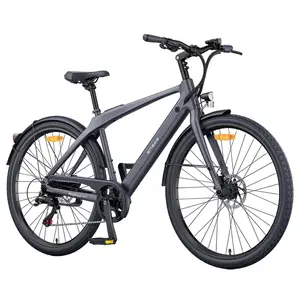ENGWE MapFour N1 Air Electric Bike 250W 36V 10Ah 25km/h Grey