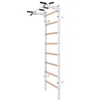 Žebřiny s hrazdou BenchK 221W 230x67 cm