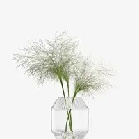 Váza Rotunda, v.20 cm, čirá - LSA international