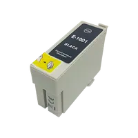 Epson T1001 černá (black) kompatibilní cartridge