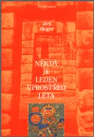 Někdy je leden uprostřed léta - Aleš Šteger