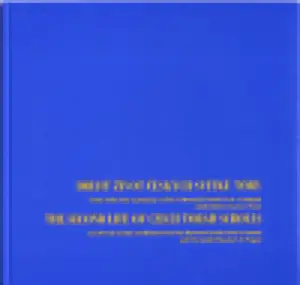 Druhý život českých svitků tóry