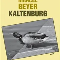 Kaltenburg - Marcel Beyer