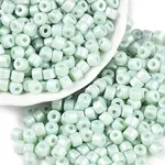 Baking Paint Pearlized Glass Seed Beads
