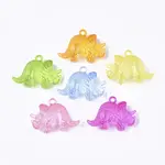 Transparent Acrylic Pendants