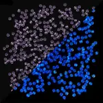 Glow in the Dark Luminous Transparent Glass Round Seed Beads