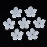 Transparent Acrylic Beads
