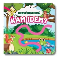 Hravé bludiská - Kam idem? - kniha z kategorie Pro děti