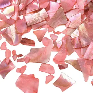 Natural Abalone/Paua Shell Mica Fragment