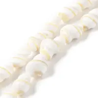 Natural Shell Beads Strands