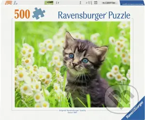 Kotě na louce - puzzle z kategorie Zvieratá