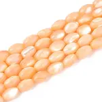 Natural Trochus Shell Beads Strands