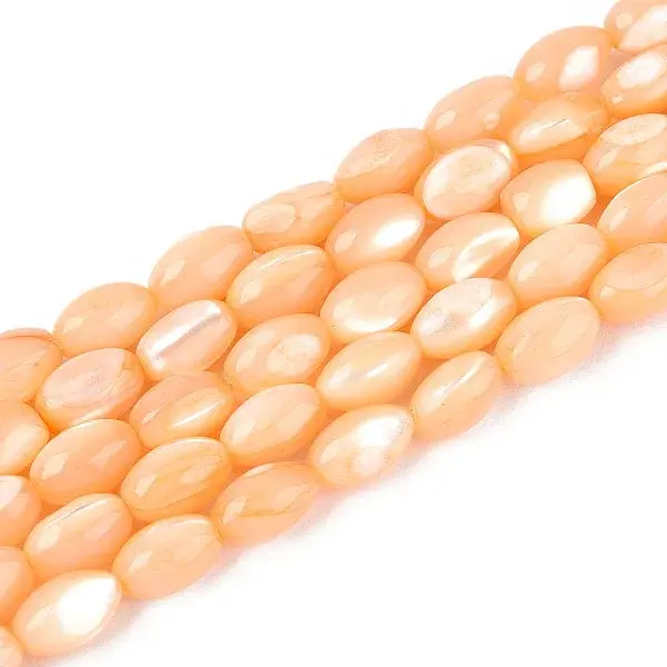 Natural Trochus Shell Beads Strands