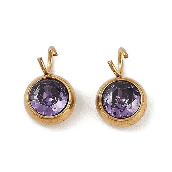 Ion Plating(IP) 304 Stainless Steel Micro Pave Cubic Zirconia Charms