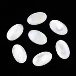 Natural White Shell Cabochons
