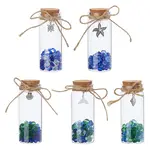 Glass Bead in Transparent Glass Bottle Display Decorations