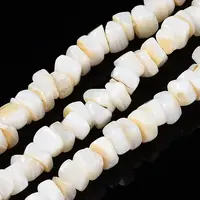 Natural Freshwater Shell Beads Strands