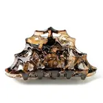 Acrylic Claw Hair Clips