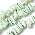 Dyed Natural Trochus Shell Beads Strands