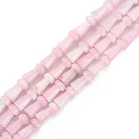 Natural Freshwater Shell Beads Strands
