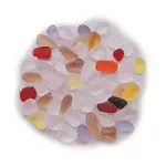 Ocean Series Glass Display Decoration