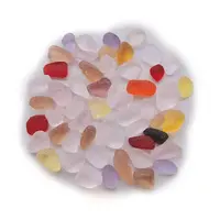 Ocean Series Glass Display Decoration