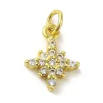 Brass Micro Pave Cubic Zirconia Charms