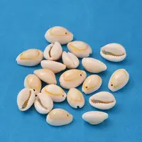Natural Cowrie Shell Pendants