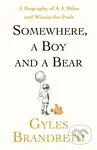 Somewhere, A Boy And A Bear - Gyles Brandreth