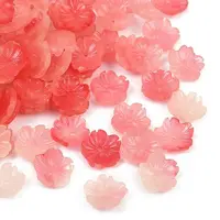 Shell Powder Beads