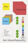 Why Machines Learn (The Elegant Maths Behind Modern AI) - Anil Ananthaswamy